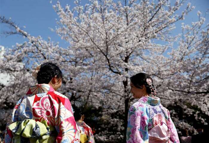 中國旅客連3月腰斬沒差　日本2月外國觀光客人數照創同期新高