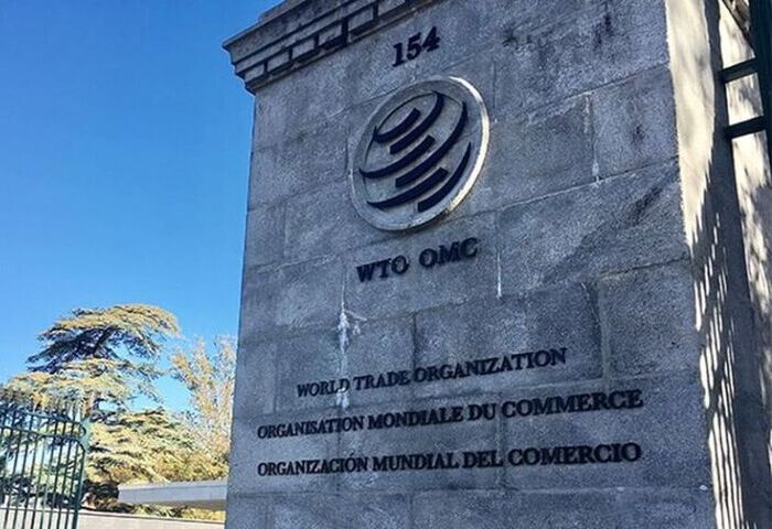 外交部：台灣以個別關稅領域入WTO　擁有充分自主權