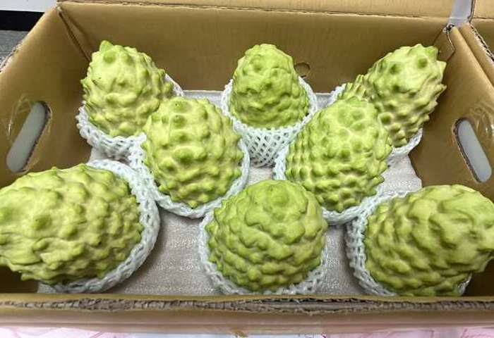 海峽論壇提採購台產品　農業部：中國市場風險高