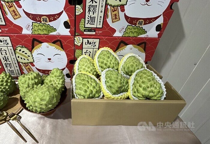 農業部：中國養套殺鳳梨釋迦　應減少高度依賴風險