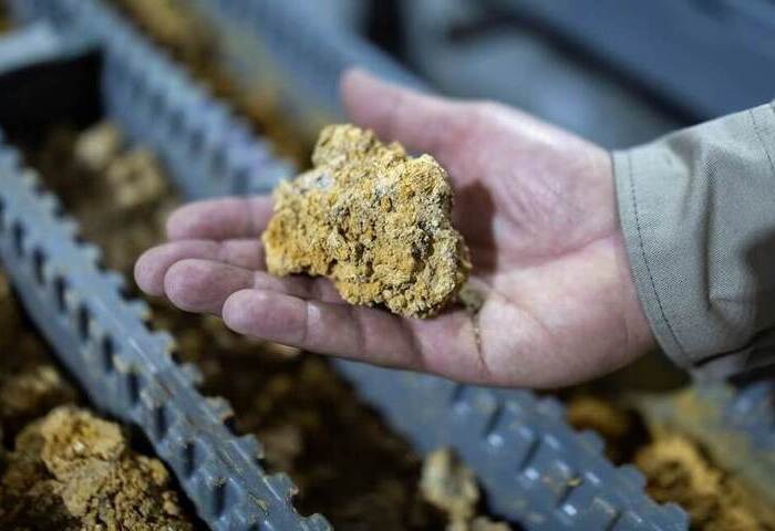 南非高純度混合稀土精煉技術突破　目標年底量產出貨