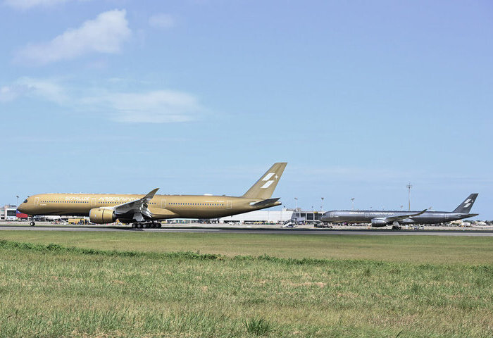 星宇航空藝術機空山金抵台　8月20日首航東京成田