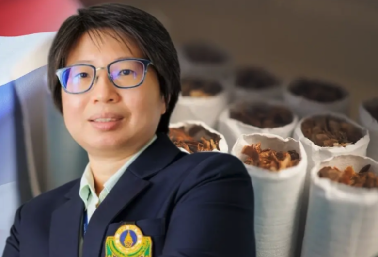 泰國控菸政策仍有多重漏洞　學者籲先補稅制與執法缺口