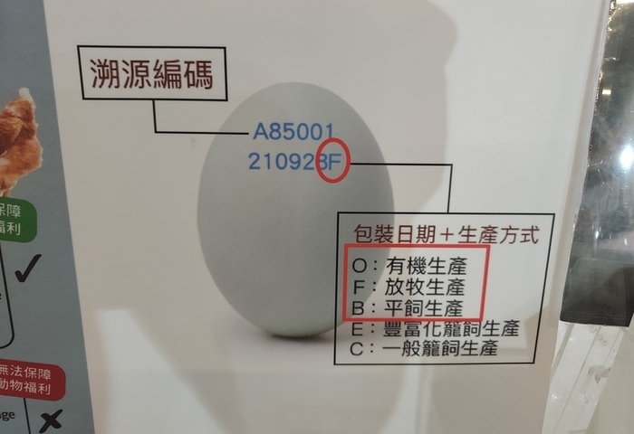買蛋看洗選還是動物福利　雞蛋安全不是二選一