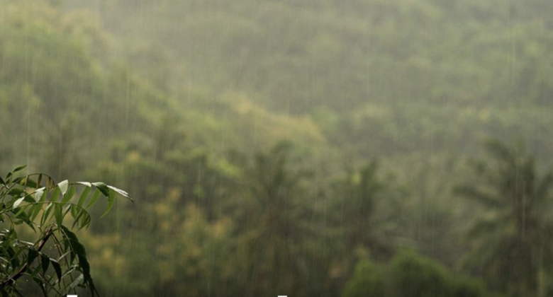 泰國多地續有豪雨　曼谷降雨80%安達曼浪高3公尺