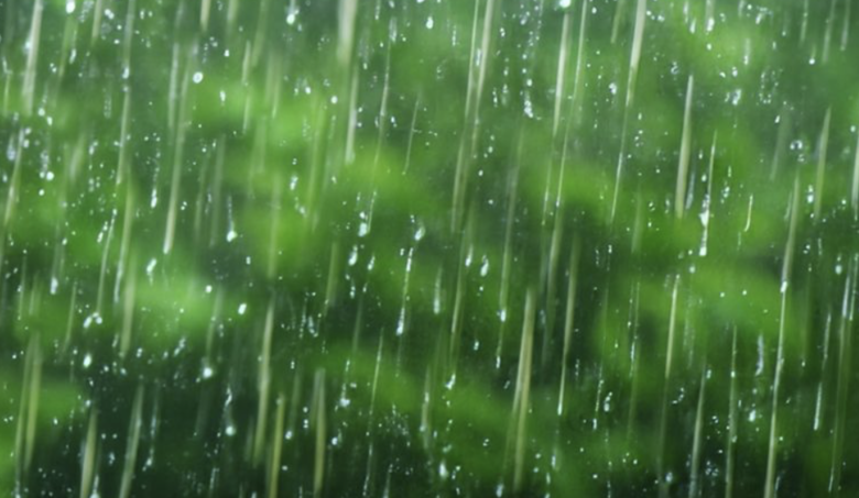泰國東部防豪雨　曼谷80%地區有雷雨