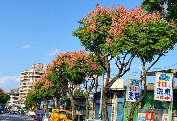 生活