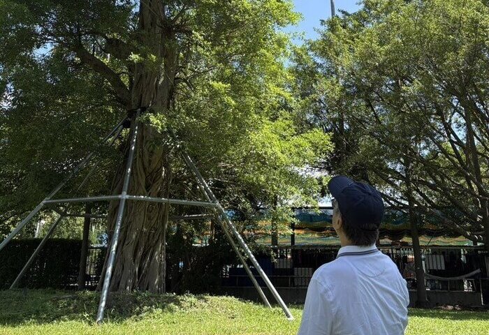 文教
